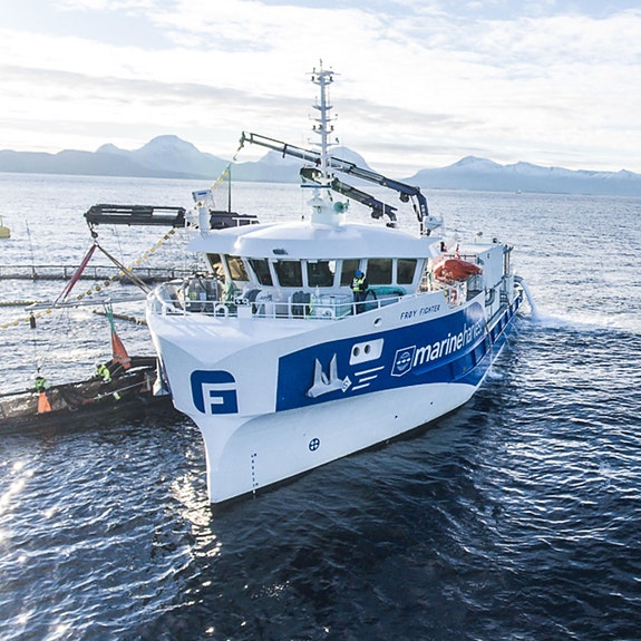 Bilde 2 av 5 i jobbannonse-galleriet