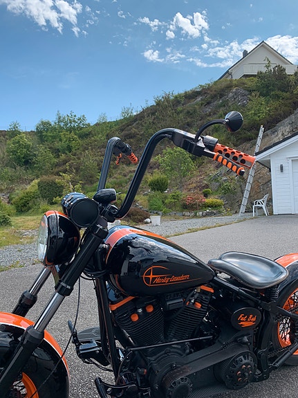 Harley-Davidson SOFTAIL CUSTOM 4 of 5