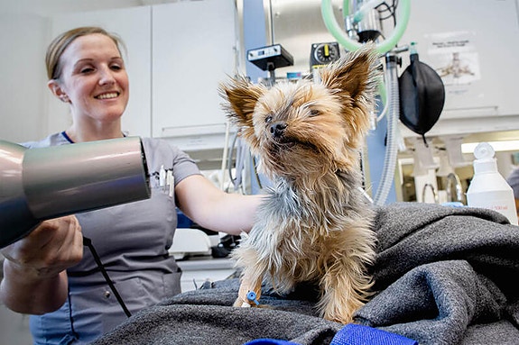 Bilde 2 av 3 i jobbannonse-galleriet