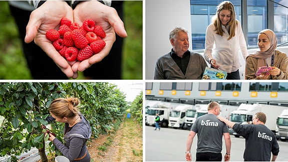 Bilde 1 av 2 i jobbannonse-galleriet