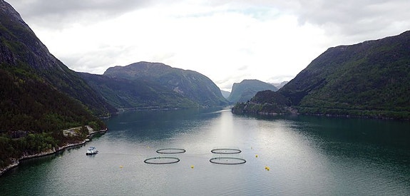 Bilde 1 av 4 i jobbannonse-galleriet