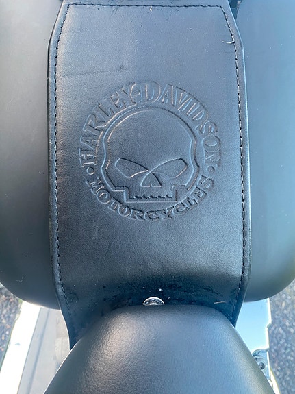 Harley-Davidson FXST Softail Standard / Custom 8 of 19