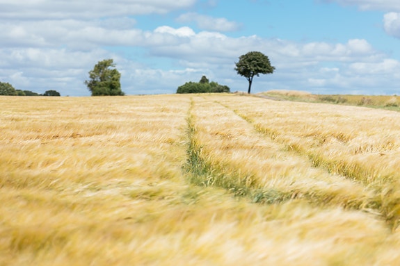 Bilde 3 av 7 i jobbannonse-galleriet