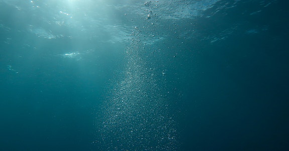 Bilde 1 av 2 i jobbannonse-galleriet