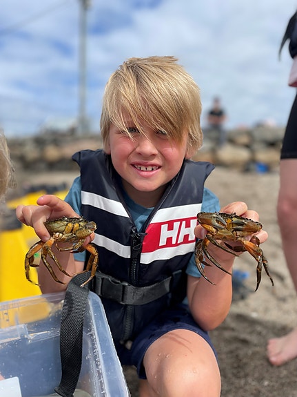 Hva finner vi i strandkanten og i teiner