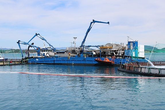 Bilde 5 av 6 i jobbannonse-galleriet