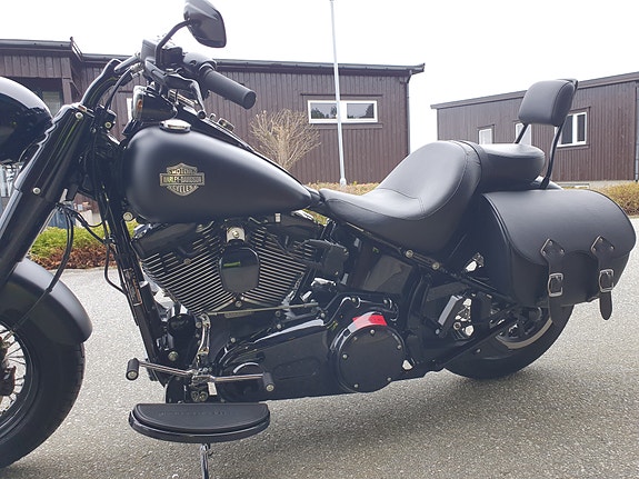 Harley-Davidson FLSS Softail Slim S 6 of 30