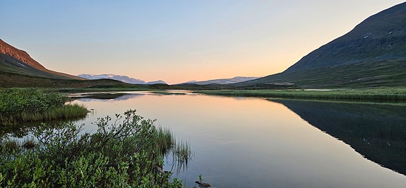 Bilde 2 av 2 i jobbannonse-galleriet