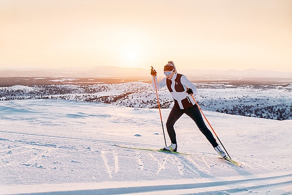 Bilde 1 av 1 i jobbannonse-galleriet