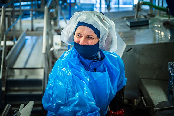 Bilde 3 av 3 i jobbannonse-galleriet