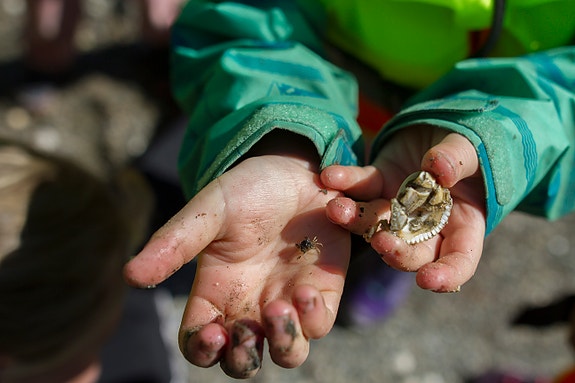 Bilde 8 av 9 i jobbannonse-galleriet