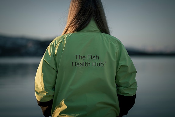 Bilde 10 av 10 i jobbannonse-galleriet