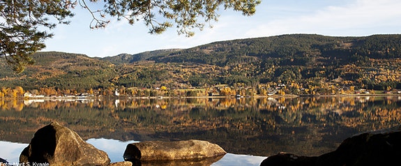 Bilde 5 av 5 i jobbannonse-galleriet