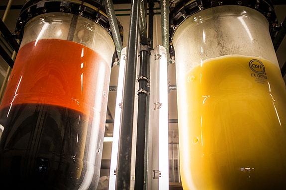 Bilde 10 av 10 i jobbannonse-galleriet