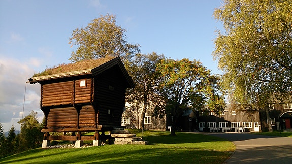 Bilde 1 av 5 i jobbannonse-galleriet