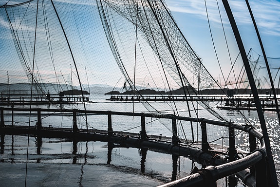 Bilde 2 av 6 i jobbannonse-galleriet