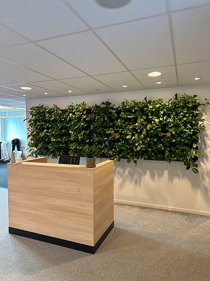 Bilde 3 av 7 i jobbannonse-galleriet