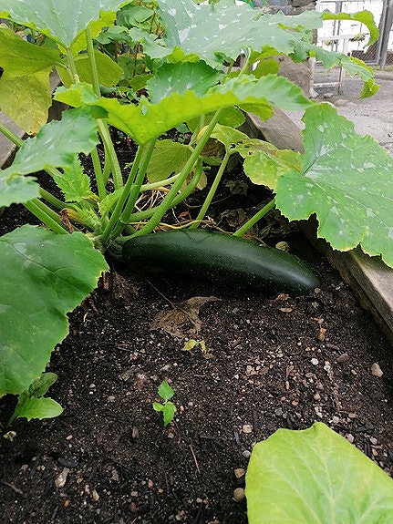 Bilde 2 av 3 i jobbannonse-galleriet