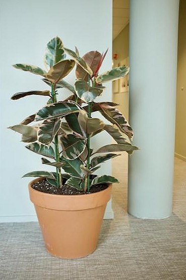 Bilde 6 av 10 i jobbannonse-galleriet