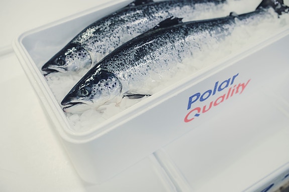 Bilde 3 av 6 i jobbannonse-galleriet