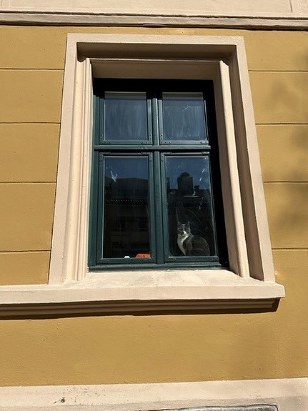 Byggfornyelse