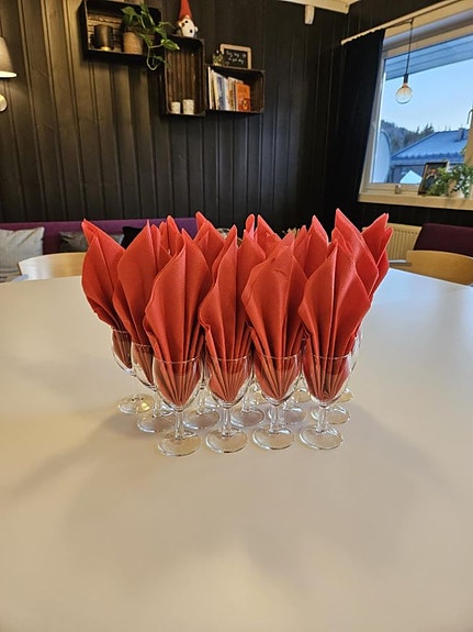 Bilde 6 av 14 i jobbannonse-galleriet