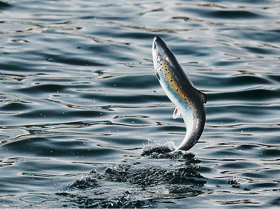 Bilde 1 av 3 i jobbannonse-galleriet