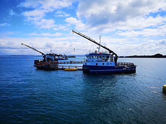 Bilde 3 av 6 i jobbannonse-galleriet