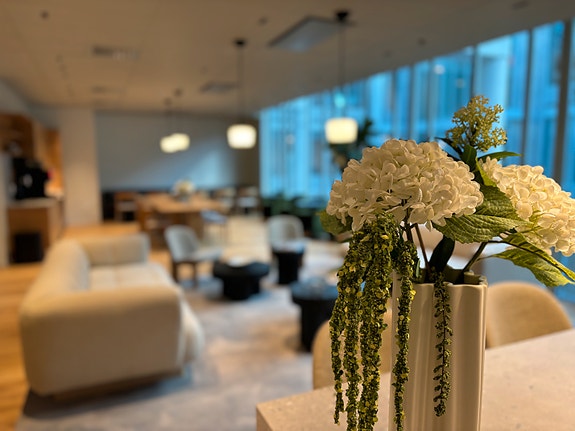 Bilde 1 av 4 i jobbannonse-galleriet