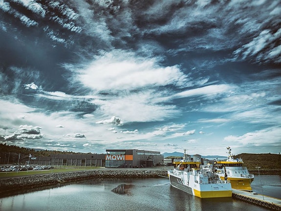 Bilde 4 av 7 i jobbannonse-galleriet