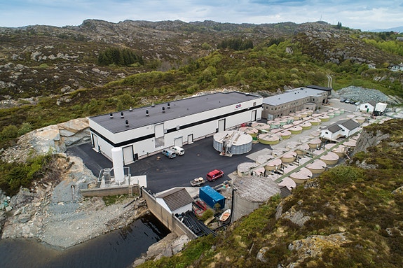 Bilde 1 av 4 i jobbannonse-galleriet