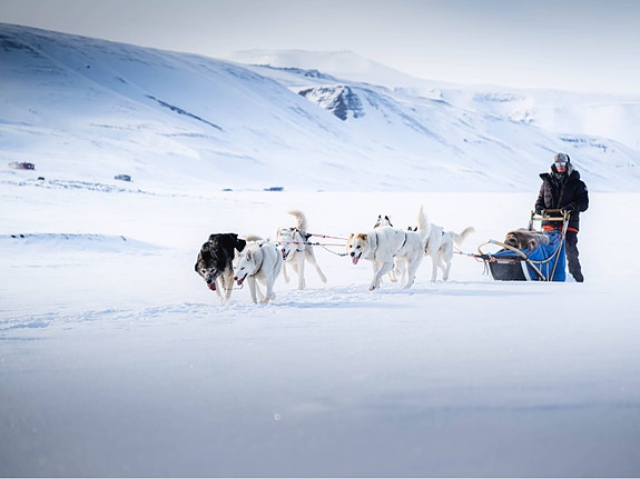 Bilde 4 av 8 i jobbannonse-galleriet