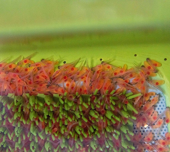 Bilde 6 av 6 i jobbannonse-galleriet