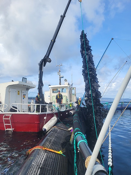 Hendig båt med bulk-rom!