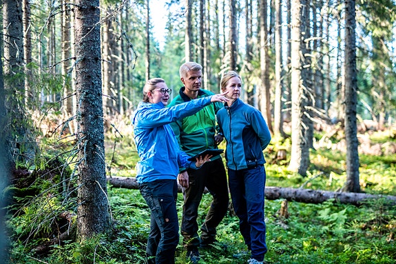 Bilde 1 av 5 i jobbannonse-galleriet