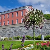 Bilde 1 av 1 i jobbannonse-galleriet