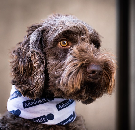 Bilde 9 av 10 i jobbannonse-galleriet