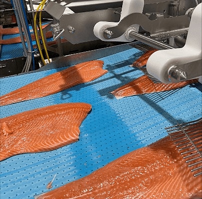 Bilde 4 av 5 i jobbannonse-galleriet