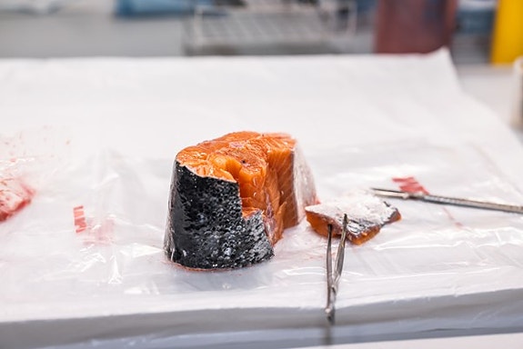 Bilde 5 av 5 i jobbannonse-galleriet