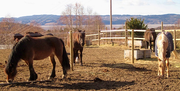 Bilde 3 av 5 i jobbannonse-galleriet
