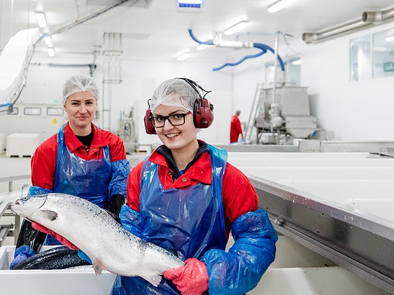 Bilde 2 av 2 i jobbannonse-galleriet