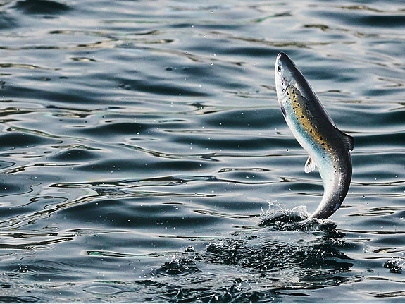 Bilde 6 av 6 i jobbannonse-galleriet