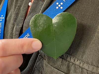 Bilde 1 av 1 i jobbannonse-galleriet