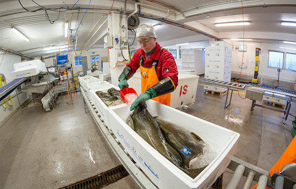 Bilde 3 av 3 i jobbannonse-galleriet