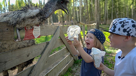 Bilde 4 av 4 i jobbannonse-galleriet