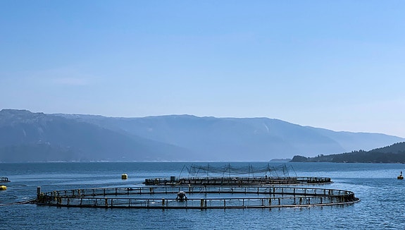 Bilde 2 av 4 i jobbannonse-galleriet