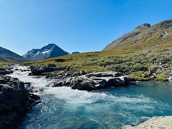 Bilde 3 av 4 i jobbannonse-galleriet