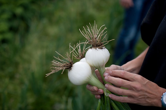 Bilde 2 av 2 i jobbannonse-galleriet