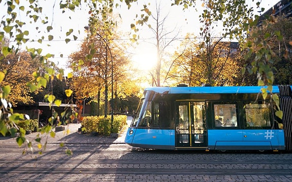 Bilde 1 av 3 i jobbannonse-galleriet