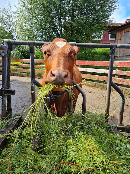 Bilde 1 av 5 i jobbannonse-galleriet